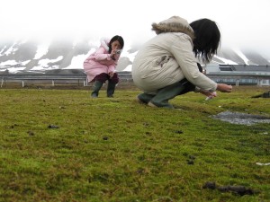 de verzamelplek wordt vastgelegd met GPS en op een foto
